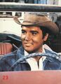 ELVIS - 10 Big Star Post Karten - Set 2 - Color & s/w - Größe  14x19 - gut