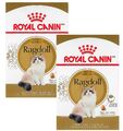 (€ 8,65/kg) Royal Canin Ragdoll Adult, Futter für Ragdoll Katzen - 2 x 10 kg