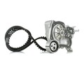 RIDEX 3096W0317 Wasserpumpe + Zahnriemensatz für RENAULT MEGANE I (BA0/1)
