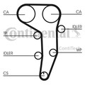 Wasserpumpe + Zahnriemensatz CONTINENTAL CTAM CT1051WP3 für AUDI MITSUBISHI 4F5