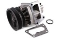 HEPU P1033 Wasserpumpe für FIAT,LANCIA