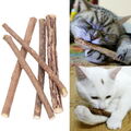 5 Stück Matatabi Katzen Kauhölzer Catnip Snacks Sticks Katzenminze Zähne Gesund