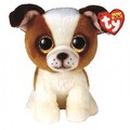 Ty Glubschi´s Beanie Boo´s Hund @ Hugo @ reg. 15 cm 