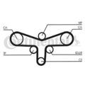 CONTINENTAL CTAM CT920WP4 Wasserpumpe + Zahnriemensatz für AUDI SKODA VW