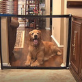 Sicherheits Zaun Türschutzgitter Hunde Treppen Schutz Tür Gitter Absperrgitter