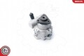 ESEN SKV Hydraulikpumpe Lenkung 10SKV122 für BMW X5 E53