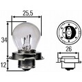 Glühlampe Hauptscheinwerfer Hella 8GA 008 899-061 Standard