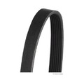 1x Keilrippenriemen HERTH+BUSS JAKOPARTS J1071815 passend für HONDA NISSAN