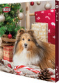 Trixie 9268 TRIXIE Adventskalender Für Hunde, 30 × 34 × 3,5 Cm