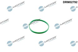 DR.MOTOR AUTOMOTIVE Dichtung Drosselklappe Drosselklappendichtung DRM02792