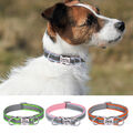 Personalisiert Hundehalsband mit Namen Gravur Reflektierend Halsband Verstellbar