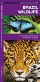 James Kavanagh Waterford Press Brazil Wildlife (Broschüre) (US IMPORT)