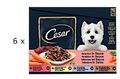 (€ 5,90/kg) CESAR Selektion in Sauce - 4 Sorten Feines - 144 Beutel x 100g