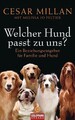 Welcher Hund passt zu uns?: Ein Beziehungsratgeber für Familie und Hund Millan, 