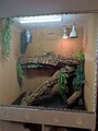 Großes Terrarium Holz mit Glas 200 x 100 x 140 cm