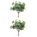  2 Count Eukalyptus Zweige Künstlich Künstliche Eukalyptusblätter