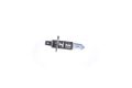Glühlampe  Fernscheinwerfer Bosch 1 987 302 015 für ROVER SAAB SEAT SKODA