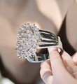 925er Silber Damenring mit Zirkon-Löwenzahn – Elegant für Party & Geschenk