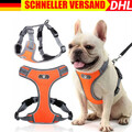 Hundegeschirr & Leine, verstellbar, reflektierend für kleine Hunde/Katzen DHL