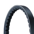CONTINENTAL CTAM Keilriemen AVX13X1125 für VW MAZDA HONDA KIA TOYOTA T4 GOLF 7DB