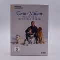 Cesar Millan Neues vom Hundeflüsterer DVD Serie Neu OVP Hund Mensch Beziehung