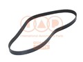 IAP QUALITY PARTS 140-16034 Keilrippenriemen für VW Golf V Schrägheck (1K1)