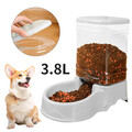 3.8L Haustier Katze Futterautomat Katzen Hunde Futterspender Feeder Automatisch