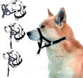Halti-Kopfkragen-Hunde training Hört auf, an Blei ohne Zug zu ziehen
