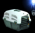 Hunde Katzen 🐇🐶🐱 TRANSPORTBOX 55 cm Flugbox Reisebox Autotransportbox Kennel