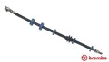 BREMBO Bremsschlauch Hinterachse, Links, Rechts