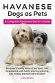 Havaneser Hunde als Haustiere: Havaneserzucht, wo zu kaufen,... - braun, Lolly