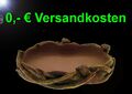 TOP Terrarium WASSERSCHALE FUTTERNAPF Gr.M Reptilien Trinkschale Napf Vögel