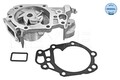 MEYLE Wasserpumpe 16-13 220 0021 für DACIA  passend für NISSAN RENAULT