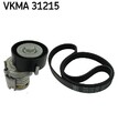 SKF Keilrippenriemensatz  u.a. für AUDI, SEAT, SKODA, VW