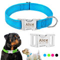 Personalisierte Hundehalsband Reflektierend Nylon mit Namen Hunde/Katzen S M L 