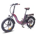 FAFREES F20 PRO 18AH 20 Zoll Klapprad Elektrofahrrad Pedelec e Bike Fatbike MTB