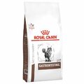 4 kg ROYAL CANIN Cat Gastrointestinal adulte Katzen Unterstützung der Verdauung