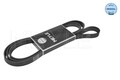Meyle Keilrippenriemen 050 006 2225 für FORD FORD USA JEEP MERCEDES-BENZ SAAB
