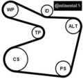 Continental CTAM 6PK1555WP1 Wasserpumpe + Keilrippenriemensatz für BMW 