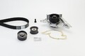 CONTINENTAL CTAM Wasserpumpe + Zahnriemensatz CT920WP4 für AUDI SKODA VW