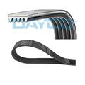 Dayco 5PK1550 Keilrippenriemen