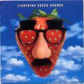 Lightning Seeds Change UK Single 1996 Ian Broudie Indie Britpop Unplayed!