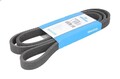 Keilrippenriemen DAYCO 6DPK1817 für BMW 1 (E87) 2 2004-2011