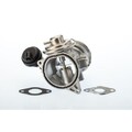 7649D BorgWarner (Wahler) AGR-Ventil