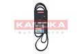 KAMOKA 7016135 Keilrippenriemen für AUDI,BMW,FORD,MITSUBISHI,OPEL,RENAULT,SUZUKI