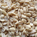 Erdnüsse blanchiert 25 kg - Erdnusskerne / Vogelfutter / Wintervogelfutter