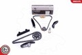Steuerketten Satz für Audi VW Seat TT Roadster A3 Esen SKV 21Skv156 1999 - 2010