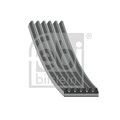 ORIGINAL® Febi Bilstein Keilrippenriemen für Renault CLIO I ESPACE III LAGUNA