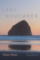Last November Peter Biles Taschenbuch Englisch 2025 Resource Publications