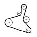 Continental Ctam 6Dpk1195K1 Keilrippenriemen Rippenriemen Satz für Audi Skoda